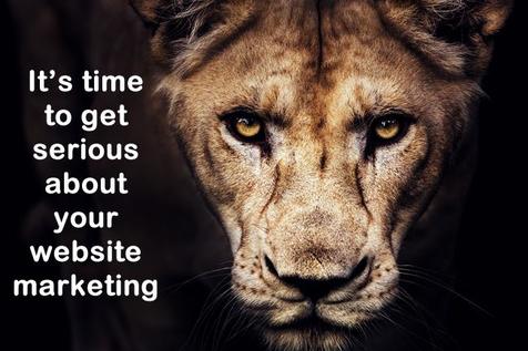 It's time to get serious about your website marketing with lion