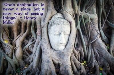 tree roots with quote by henry miller